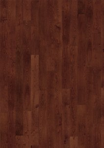 Oak Tempo